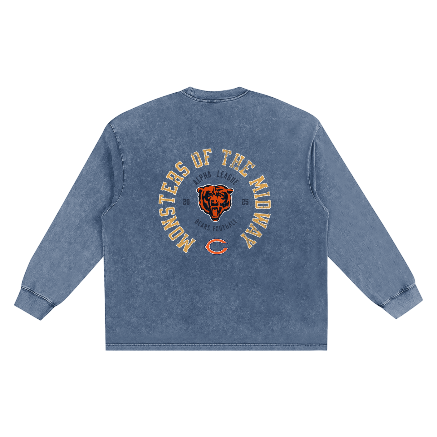 ALPHA LEAGUE x BEAR DOWN SNOW   WASHED LONG SLEEVE